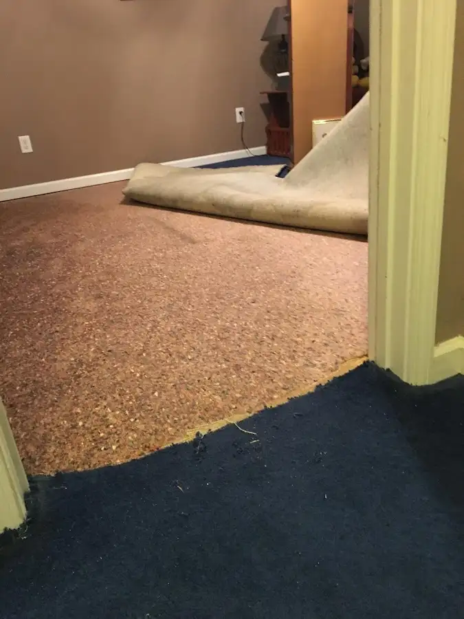 Carpet pad removal revealing water damage during Water Mitigation Services in Glenview