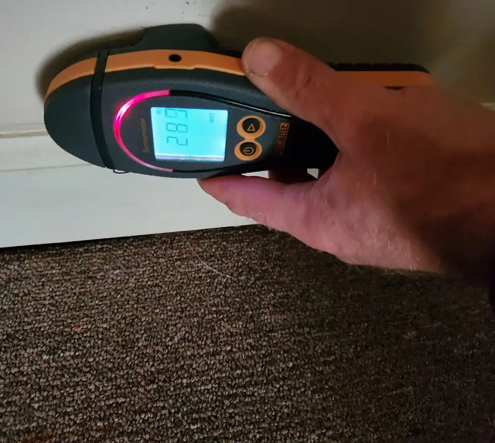 Moisture detection at baseboard during Mold Inspection & Testing in Glenview